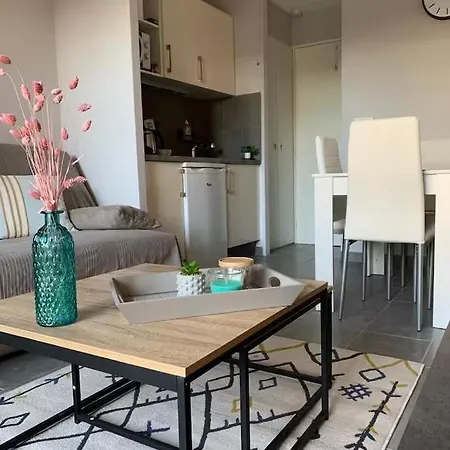 Appartamento Cosy Blue Classé 2 étoiles Piscine Parking Clim Terrasse